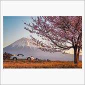 4月になりましたねぇ、でもま ...