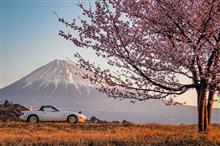 4月になりましたねぇ、でもまだ3月お話し『大好きな桜の木と』