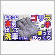 たまには本気出して洗車してみた〜ゴリラの手
