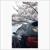 車高の低さは知能の低さ　…の ...