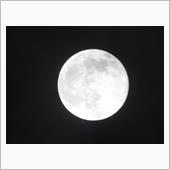 雨上がりの今夜こそ！