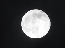雨上がりの今夜こそ！