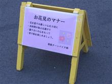 桜･･･某所での見頃はもう少し･･･っぽい【ZZ他】