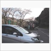 うららかな月ヶ瀬の春