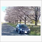 お花見プチドライブ♪