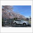 2022年4月　青空と桜とマイパサくん