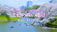 [4K]　東京・千鳥ヶ淵　2022　恋色の桜の絶景　Tokyo Cherry blossoms