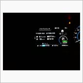 リーフ38ヶ月