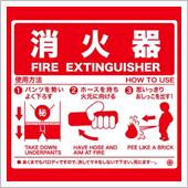 ルーキー監督の凄さお披露目・ ...