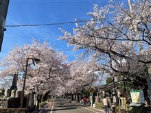今日の上野（あたり）