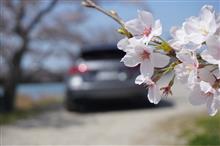 これは終わりじゃない、新しい始まり、そして道は続いてく…