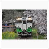 春の房総半島　小湊鉄道　撮り ...