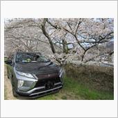 桜ドライブ