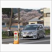 🐎🦌🚐です😱😡😩