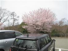 花冷え