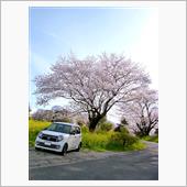 N-ONEとお花見へ！