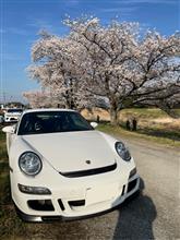 本庄サーキットトライアル　残念！🌸