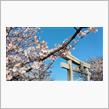 4月は新たなスタート