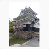 お花見、でも行き着く先は鉄分 ...