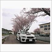 桜＆VAG＠2022
