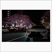 休日出勤後夜桜撮影にて破壊( ...