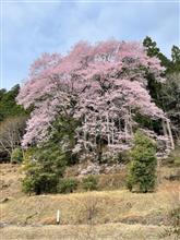 週末ライド 週末ライド