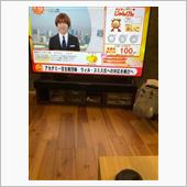 100点でました。
