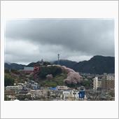 アメデヒエコミ