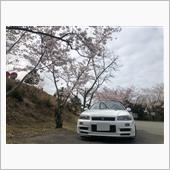 朝の桜を観てきました