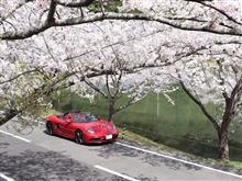 718　 GTS4.0　ロング・ドライブ（奈良の桜）