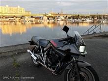 ハーバーの桜　4/3　GSX400Sカタナ
