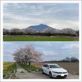 下妻から 桜と菜の花と筑波山 ...