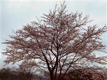 2022初　宮ヶ瀬