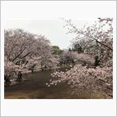 雨が降る。友が来た♪