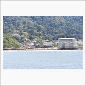 桜、散歩、宮島へ