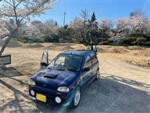 今日は花見しつつ運動する日