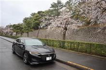桜満開の京都へ・・・