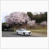 クラウン君とお花見～!(^^ ...
