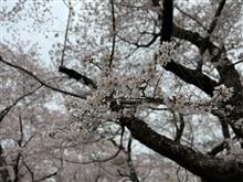 天気悪いからその分だけ人少なくて済んだかな？