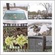 「遥かな尾瀬」 ヨッピ川の吊り橋 東電小屋『尾瀬銀座 』弥四郎小屋 ⛰^^!