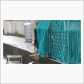 &#39;22 野良猫日記 其の五十三