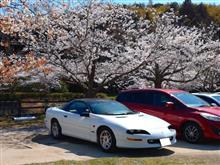愛宕山公園（平田城跡）の桜