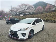 桜を愛でに城下町小幡へ