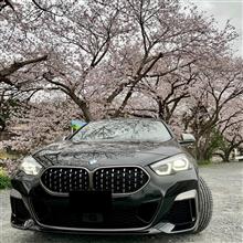 桜が咲きました🌸 #05 〜 代車M235iと富士山と🗻✨