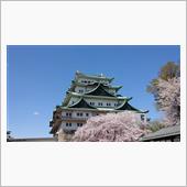 名古屋城🏯