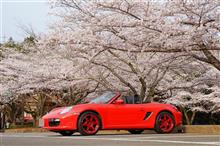 令和4年のボクスターと桜