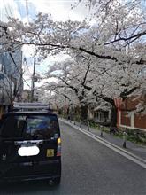 木屋町にて