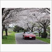 718　 GTS4.0　プチ ...