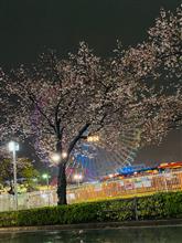 みなとみらい🌸。