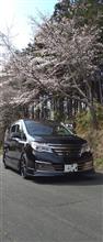 愛車と出会って8年！
